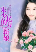 宋少的亿万新娘
